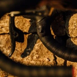 SRAM Wireless Blips For AXS -Bicycle Components Shop SRAM Wireless Blips for AXS Black 3