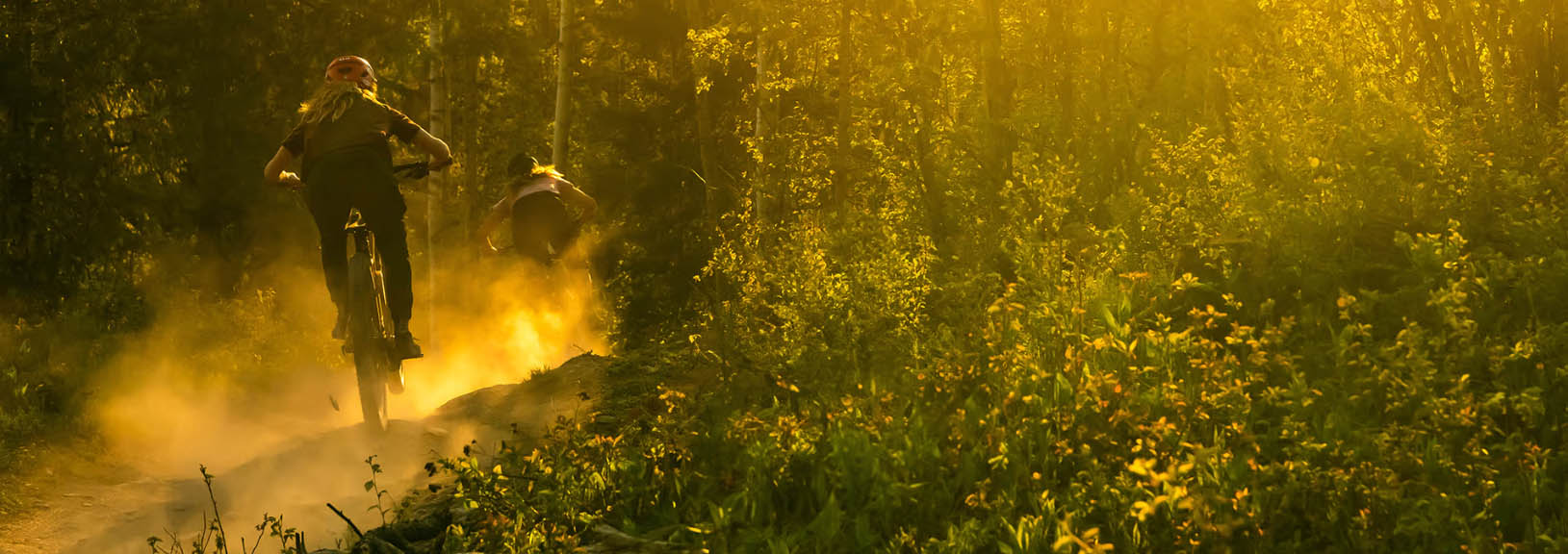 Bicycle Components Shop -Bicycle Components Shop dfdf